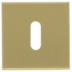 Sleutelplaatje D10V PVD mat goud 