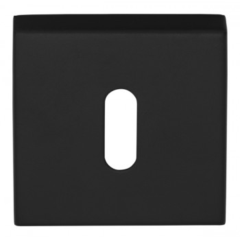Sleutelplaatje D10V mat zwart