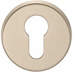 Cilinderplaatje Basic LBY50 PVD champagne