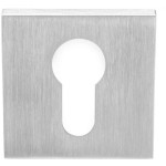 Cilinderplaatje LSQBY50 PVD mat RVS