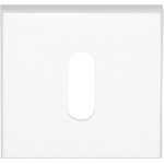 Sleutelplaatje LSQBN50 wit