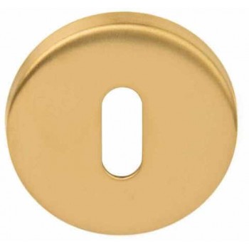 Sleutelplaatje Basic LBN50D goud PVD
