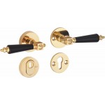 Veiligheidsset Roman messing gepolijst gelakt/titaan KT op rozet achterdeur