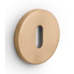 Sleutelplaatje ELEEZ ZHN53 PVD licht brons